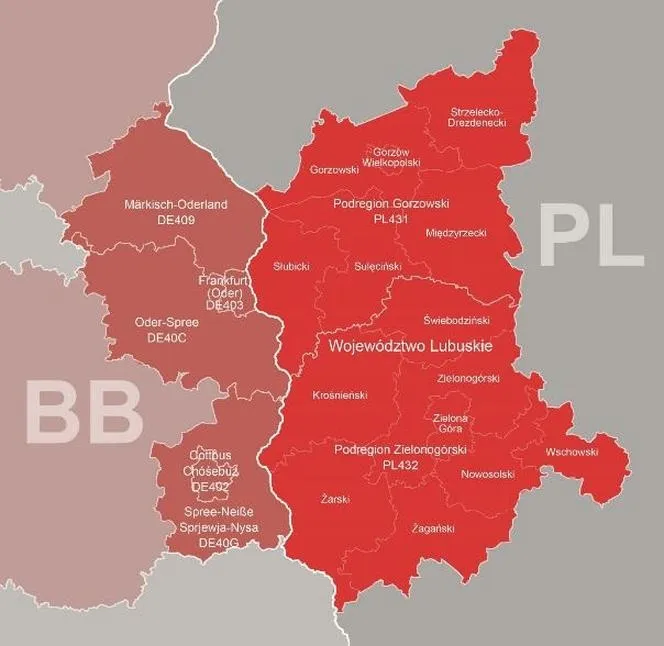 Gdzie studiować fotografię? Oto najlepsze miejsca na artystycznej mapie Polski