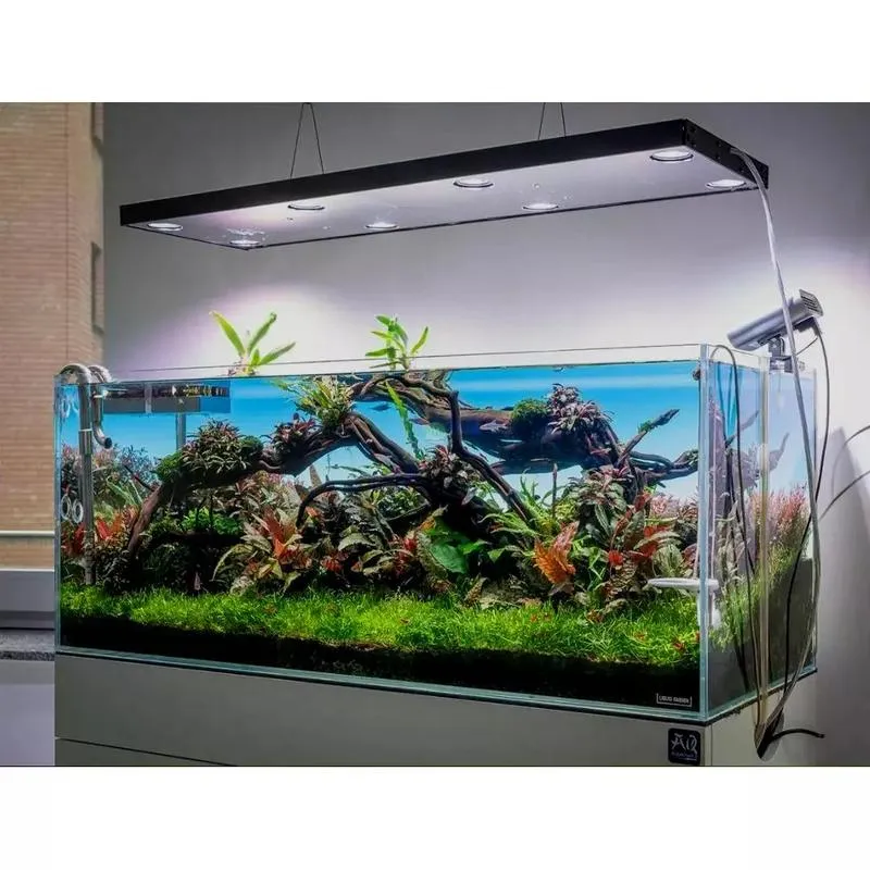 Idealne oświetlenie LED do akwarium 200l – jak je wybrać?