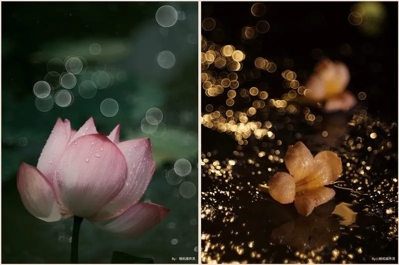 Jak uzyskać efekt bokeh aparatem – praktyczne porady dla każdego fotografa