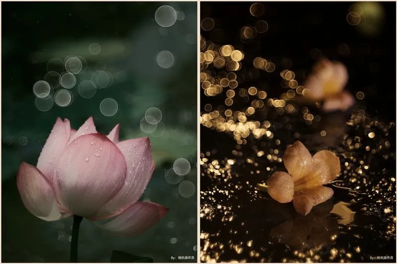 Wybór obiektywu do bokeh: jak uzyskać piękne rozmyte tło w zdjęciach