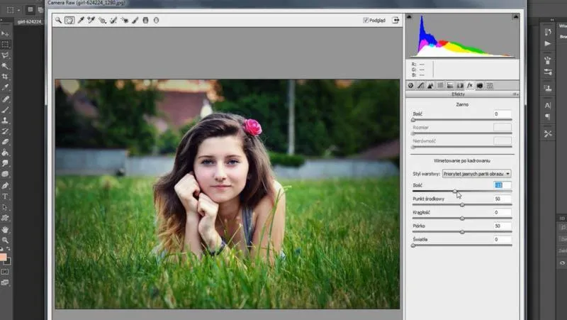 Adobe Bridge Camera Raw