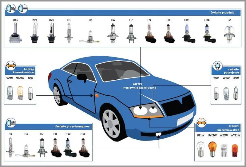 Bezpieczeństwo na drodze