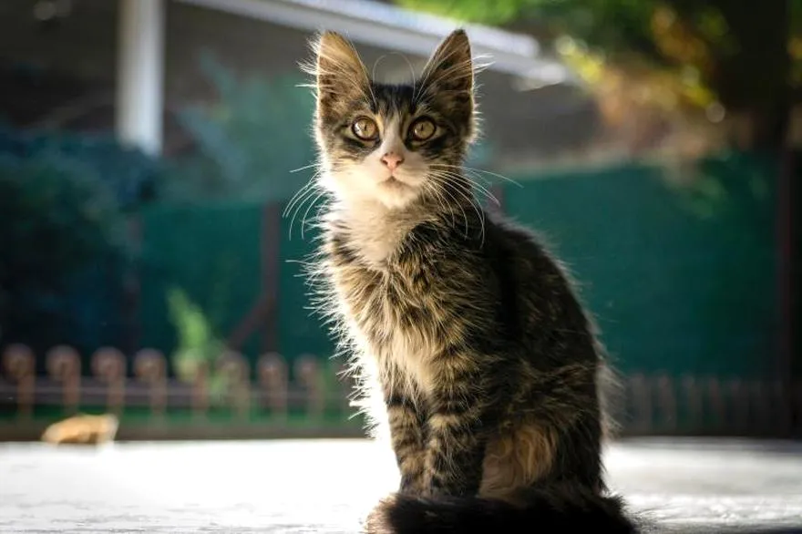 Fotografia krajobrazowa