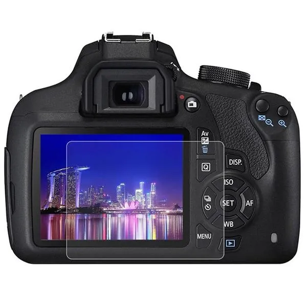 Fotografia przyrody