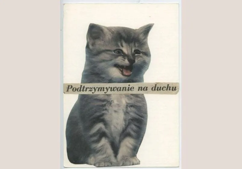 Kolaż zdjęć