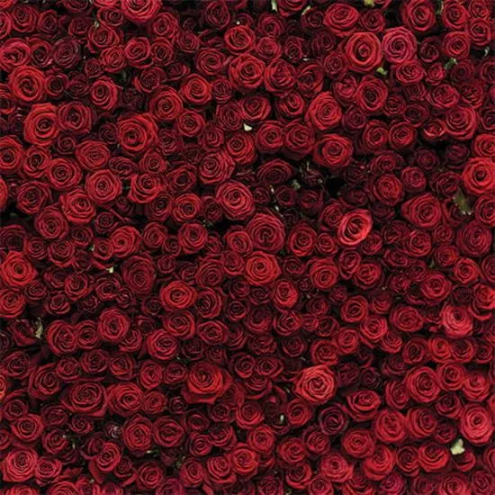 Kompozycja i kadrowanie