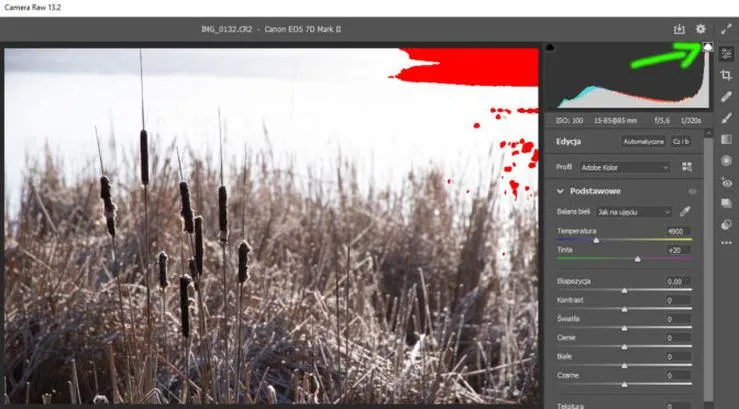 Narzędzia Camera Raw