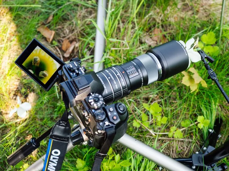 Porównanie obiektywów makro Nikon