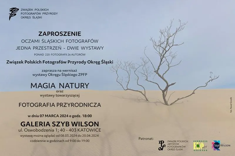 Przemoc i akty wandalizmu