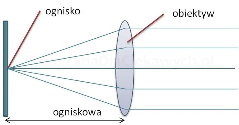 Rodzaje obiektywów