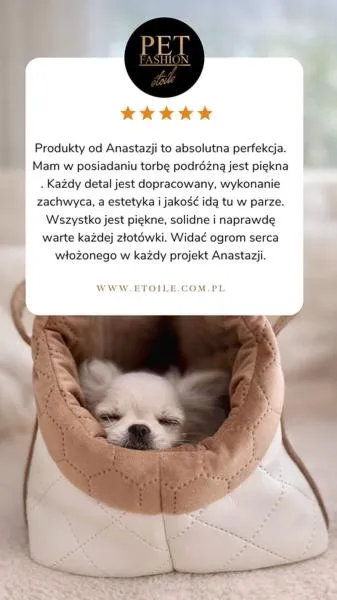 Ruch i dynamika kamery