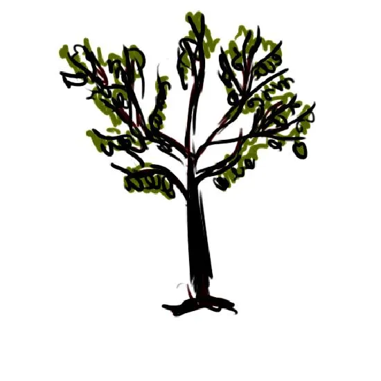 Rysowanie klatek w animacji