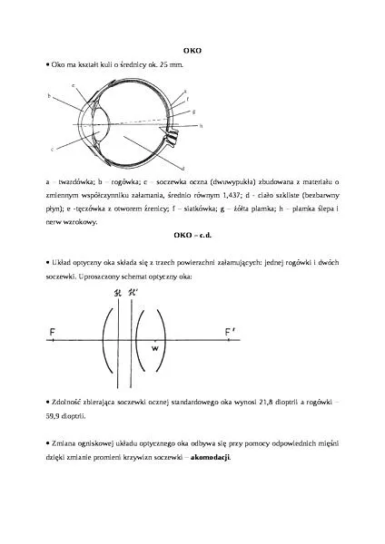 Stabilizacja obrazu w aparacie