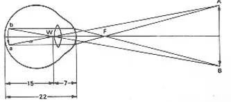 Układ optyczny aparatu