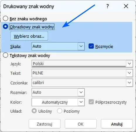 Zabezpieczenie zdjęć przed kradzieżą