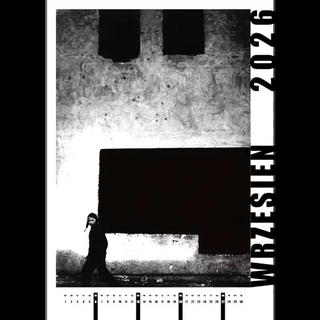 Zarobki fotografów 2026